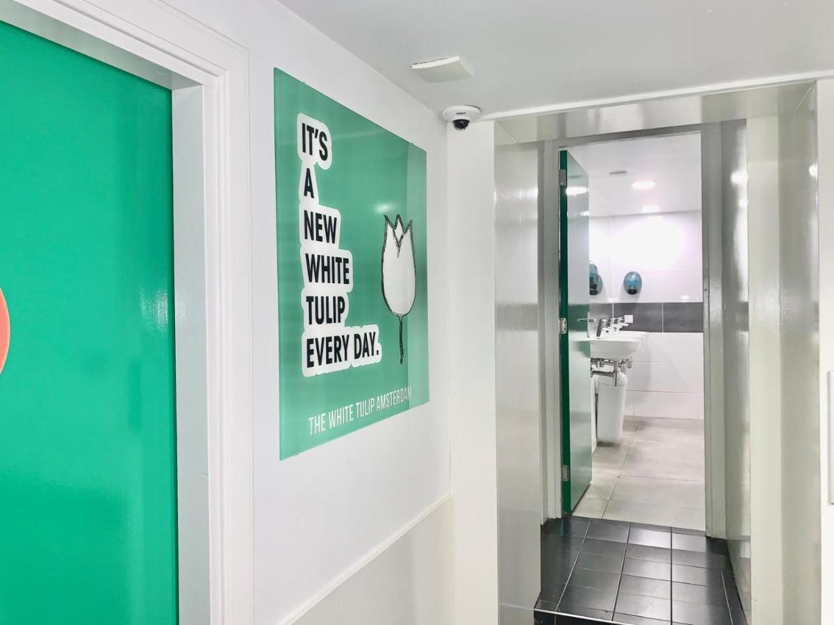 The White Tulip Hostel Amsterdam Luaran gambar